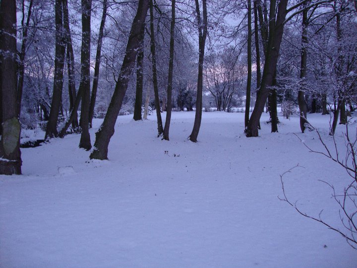 Winter Events in Anglesey